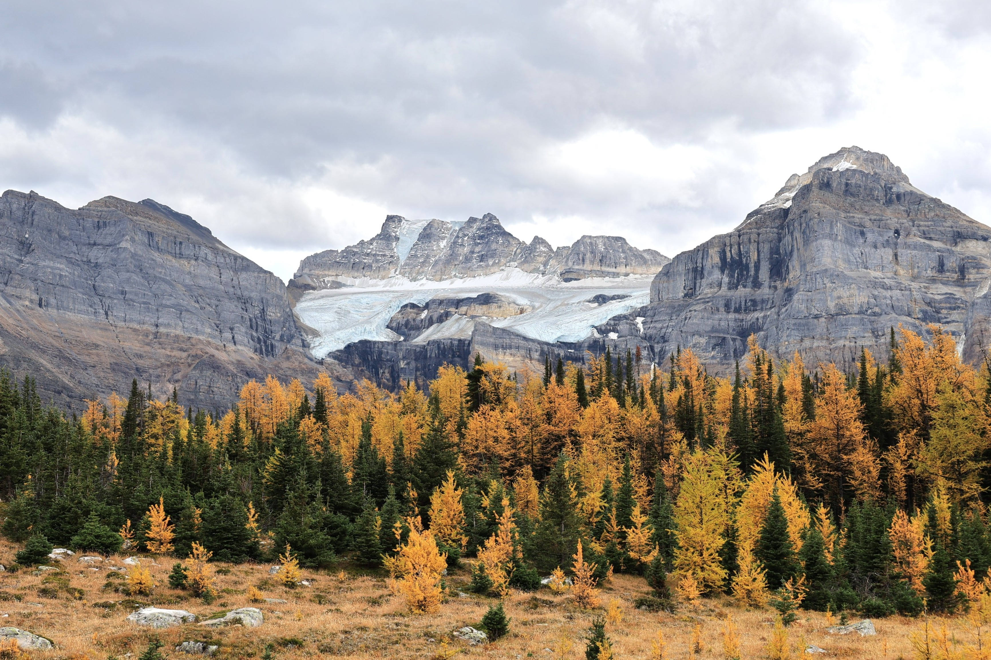 Lake Louise